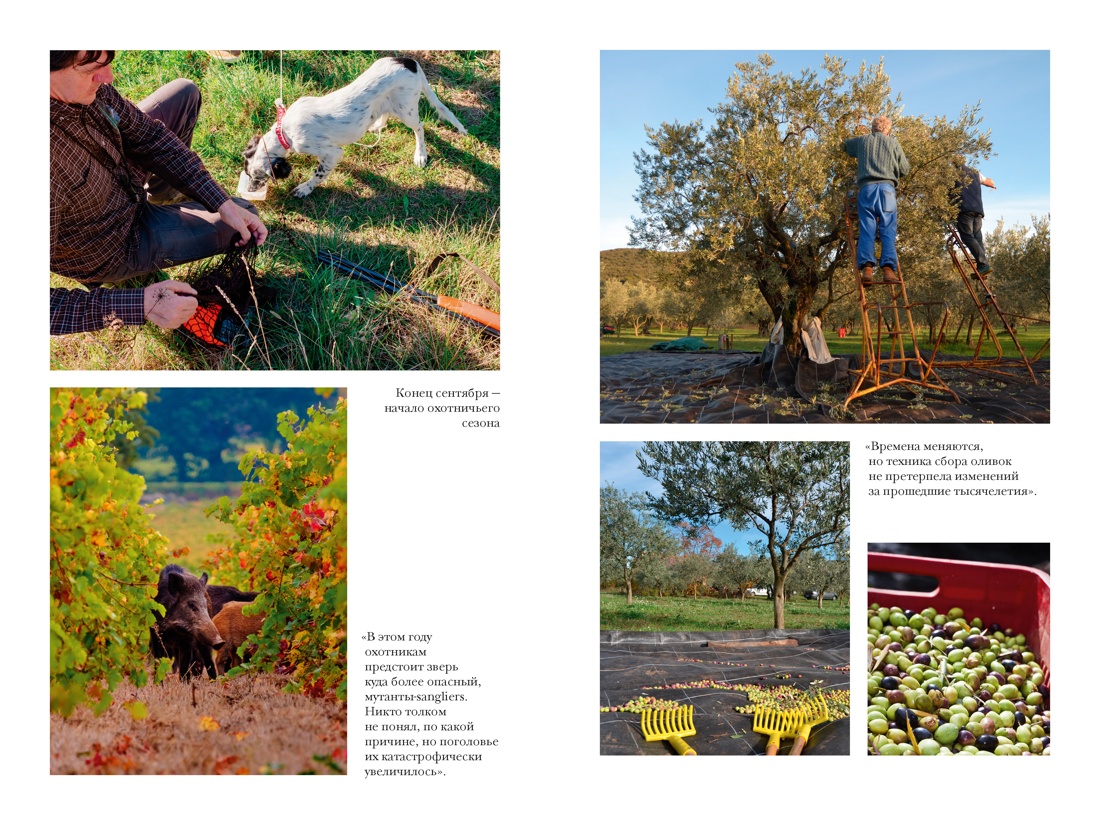 «Год в Провансе» и другие книги, Отрывок из книги