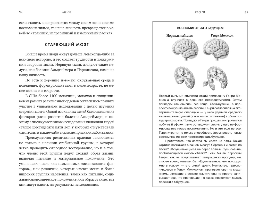 Мозг: Ваша личная история, Отрывок из книги