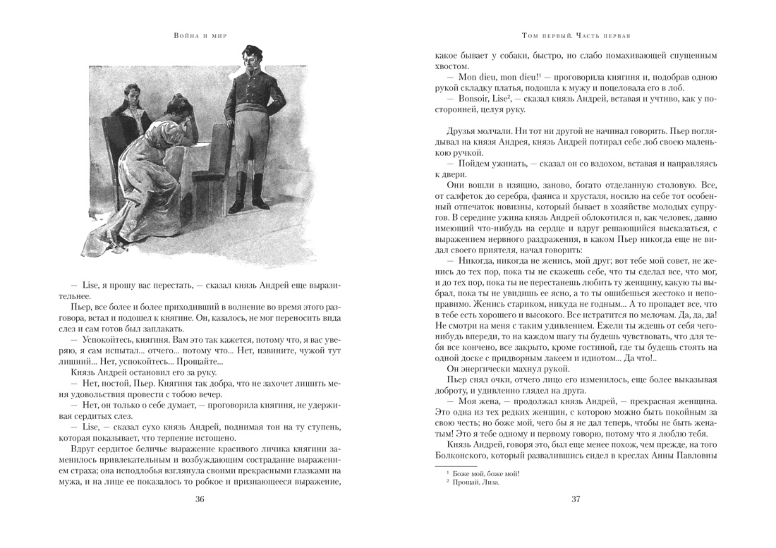 Война и мир (в 2-х книгах) (комплект), Отрывок из книги