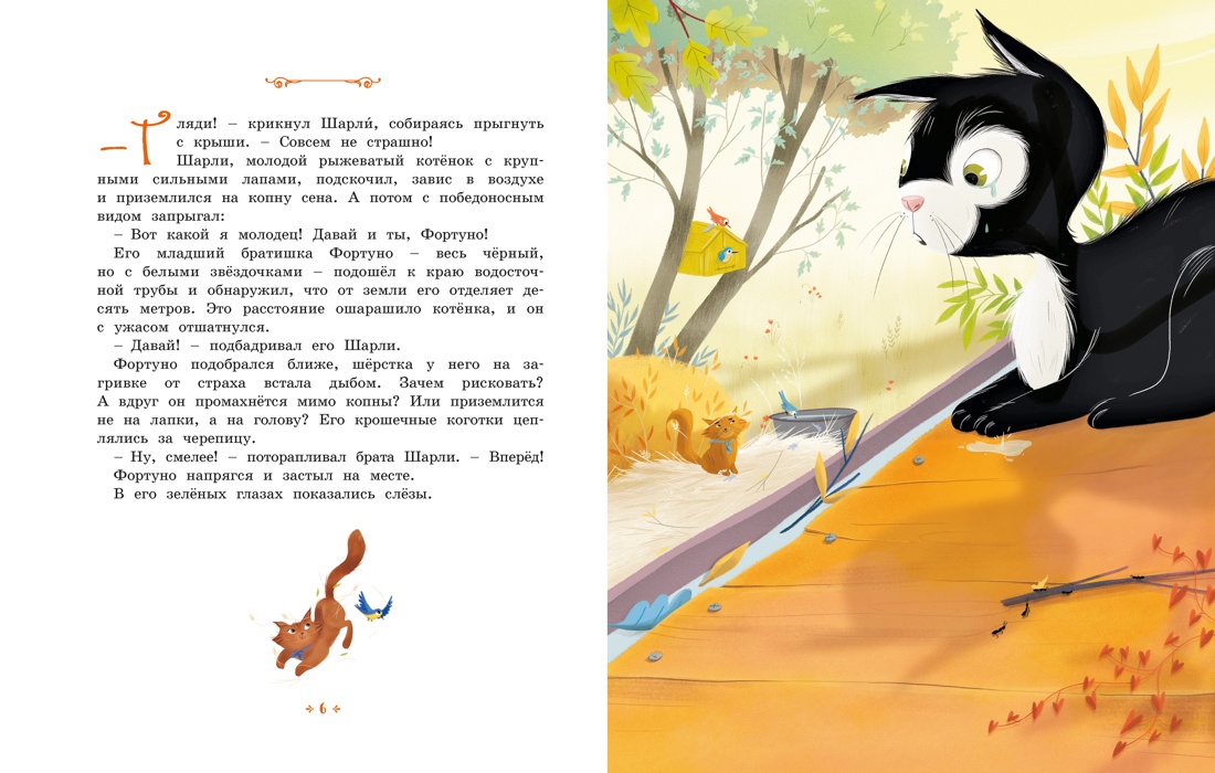 Котёнок, который всего боялся, Эрик-Эмманюэль Шмитт