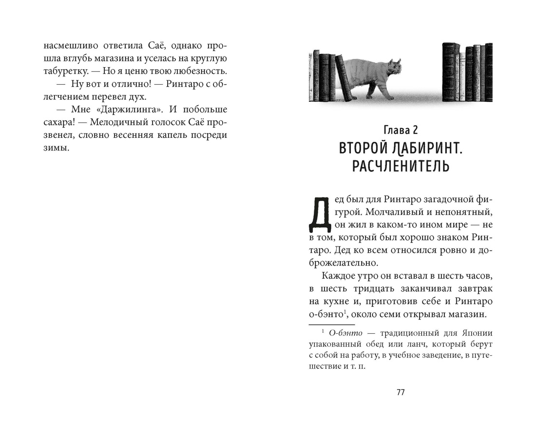 Кот, который любил книги, Отрывок из книги