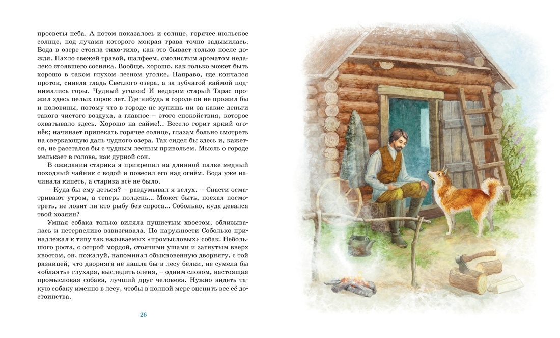 Серая шейка. Рассказы, Отрывок из книги