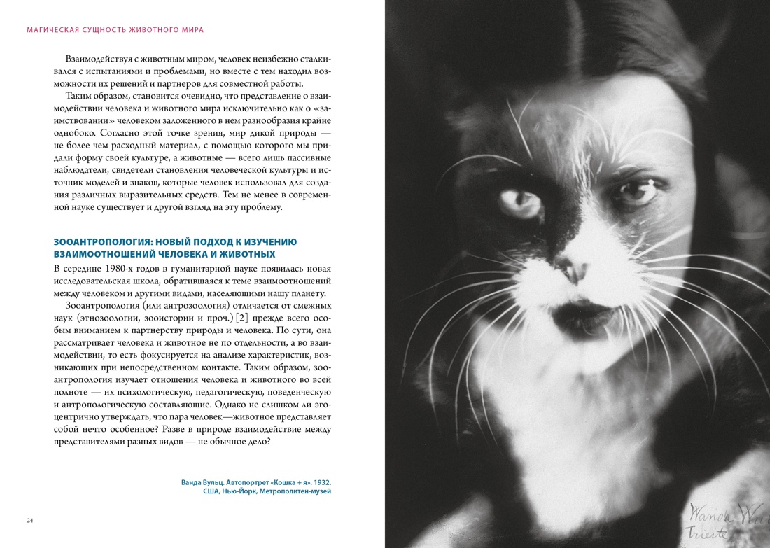 Комплект «Магические животные / магические растения», Отрывок из книги