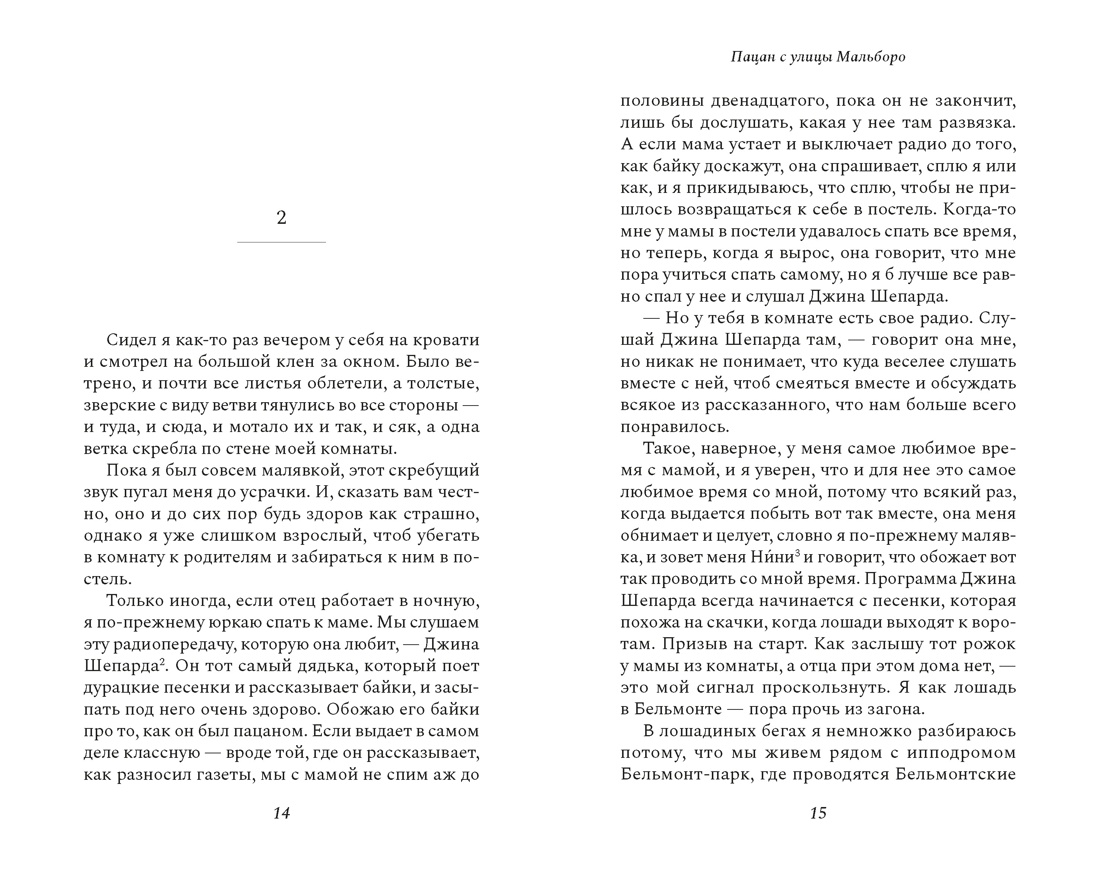 Пацан с улицы Мальборо, Отрывок из книги
