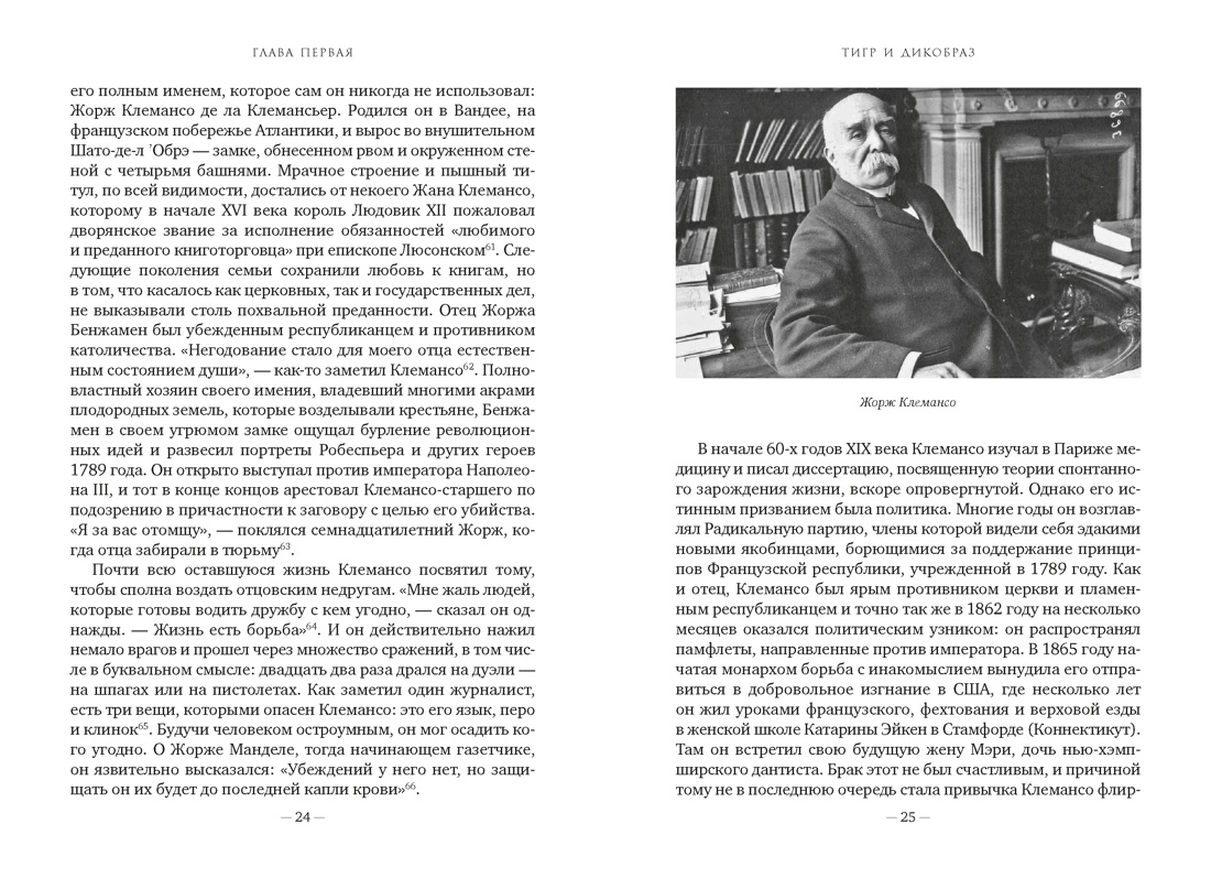 Чарующее безумие. Клод Моне и водяные лилии (Бестселлеры Non-Fiction), Отрывок из книги