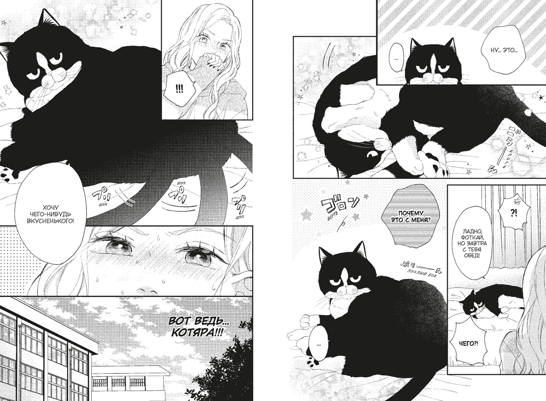 Кот и поцелуй. Том 2, Отрывок из книги