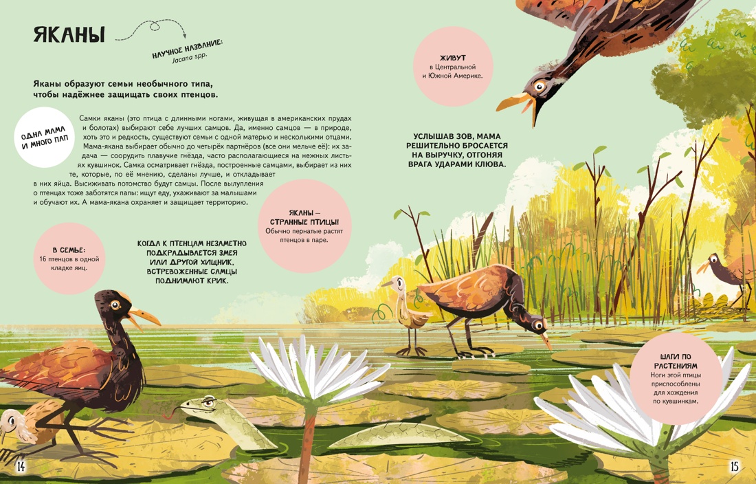 Семья в мире животных. Любовь, забота и воспитание в дикой природе, Отрывок из книги