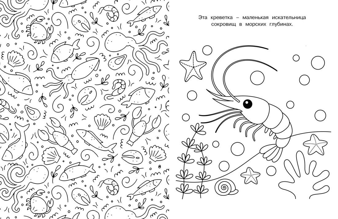 Милые очаровашки, Отрывок из книги