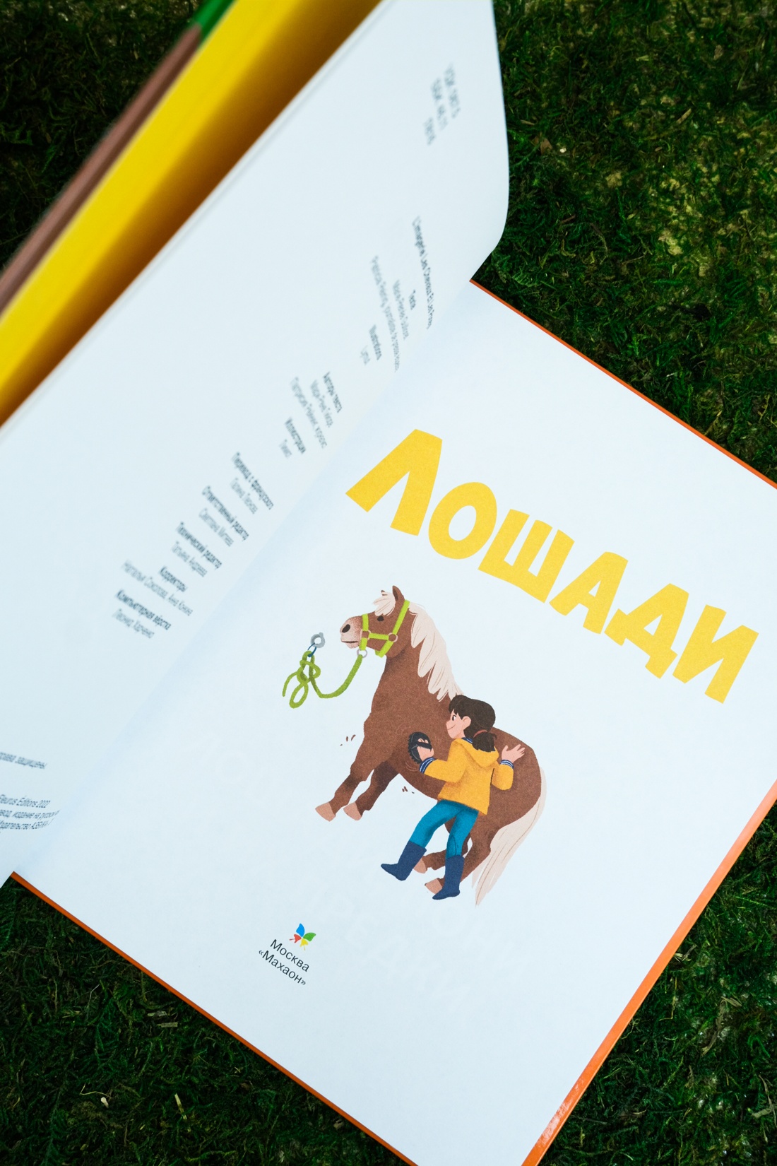 Лошади, Отрывок из книги