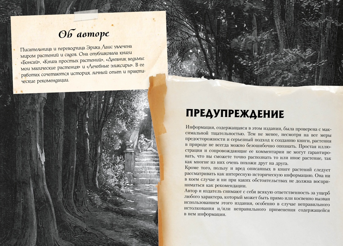 Маленький гримуар ведьмы. Зелья и волшебные травы, Эрика Лаис