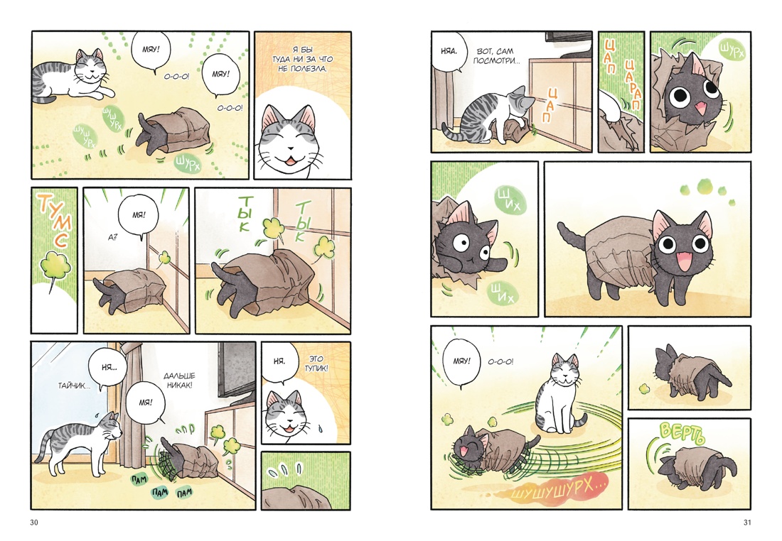 Сью и Тайчик. Книга 6, Отрывок из книги