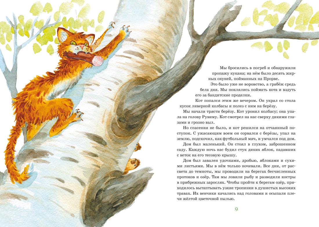 Кот-ворюга. Рассказы и сказки, Отрывок из книги
