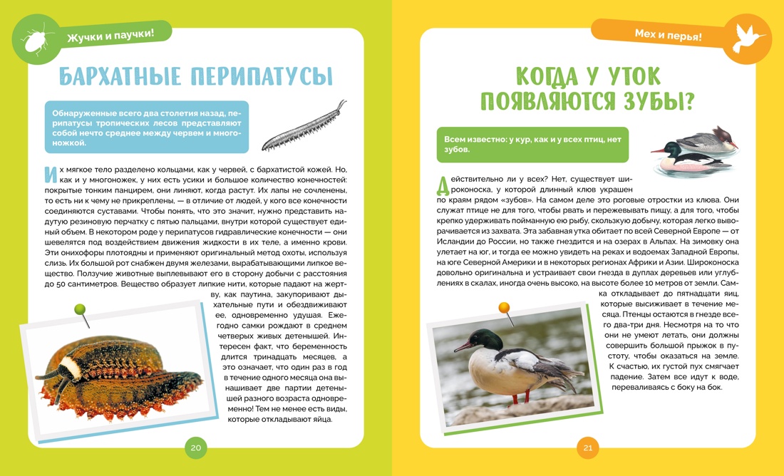 Невероятные животные, Отрывок из книги