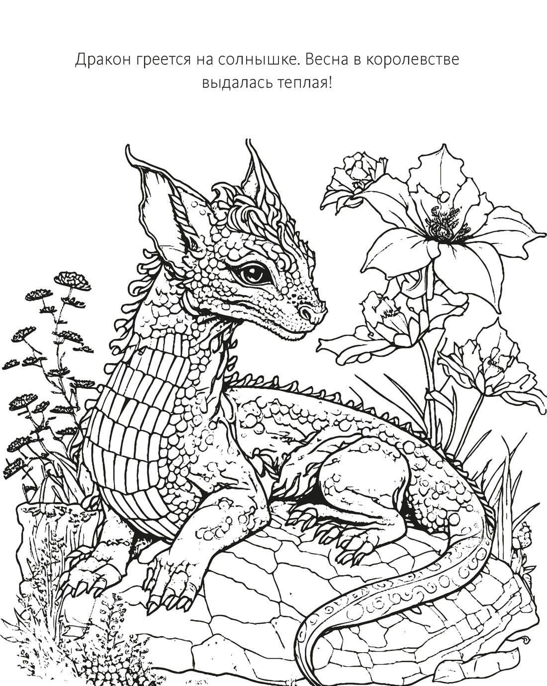 Романтика, Отрывок из книги