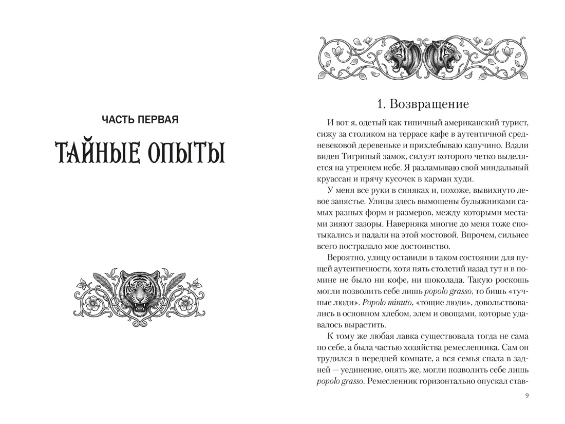 Маг Тигриного замка (с илл.), Луис Сашар