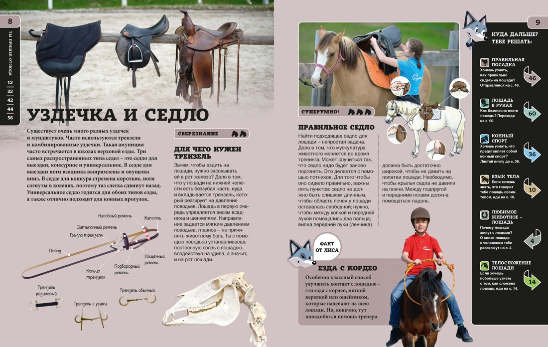 Лошади (Гудрун Браун и др.), Отрывок из книги