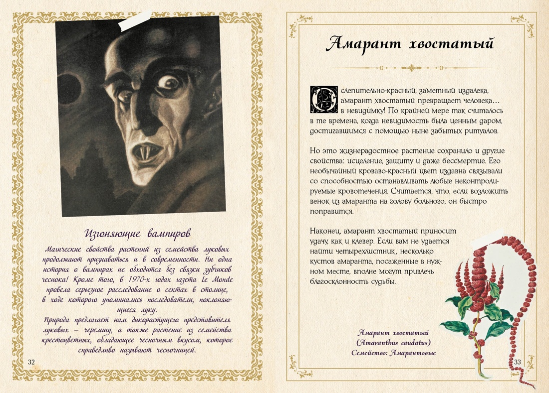 Тайные знания магического Средневековья. Сборный комплект из 3-х книг в коробе, Отрывок из книги