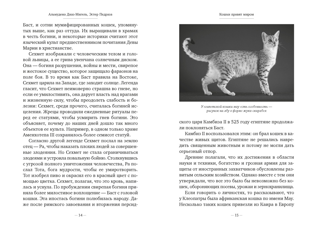 Кошки правят миром, Отрывок из книги