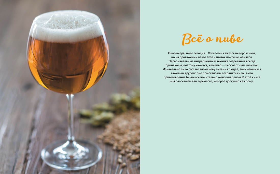 Изысканная коллекция. Путеводители по миру виски, пива и вина (Love&Whiskey, Wine Folly, Beer Expert.), Отрывок из книги