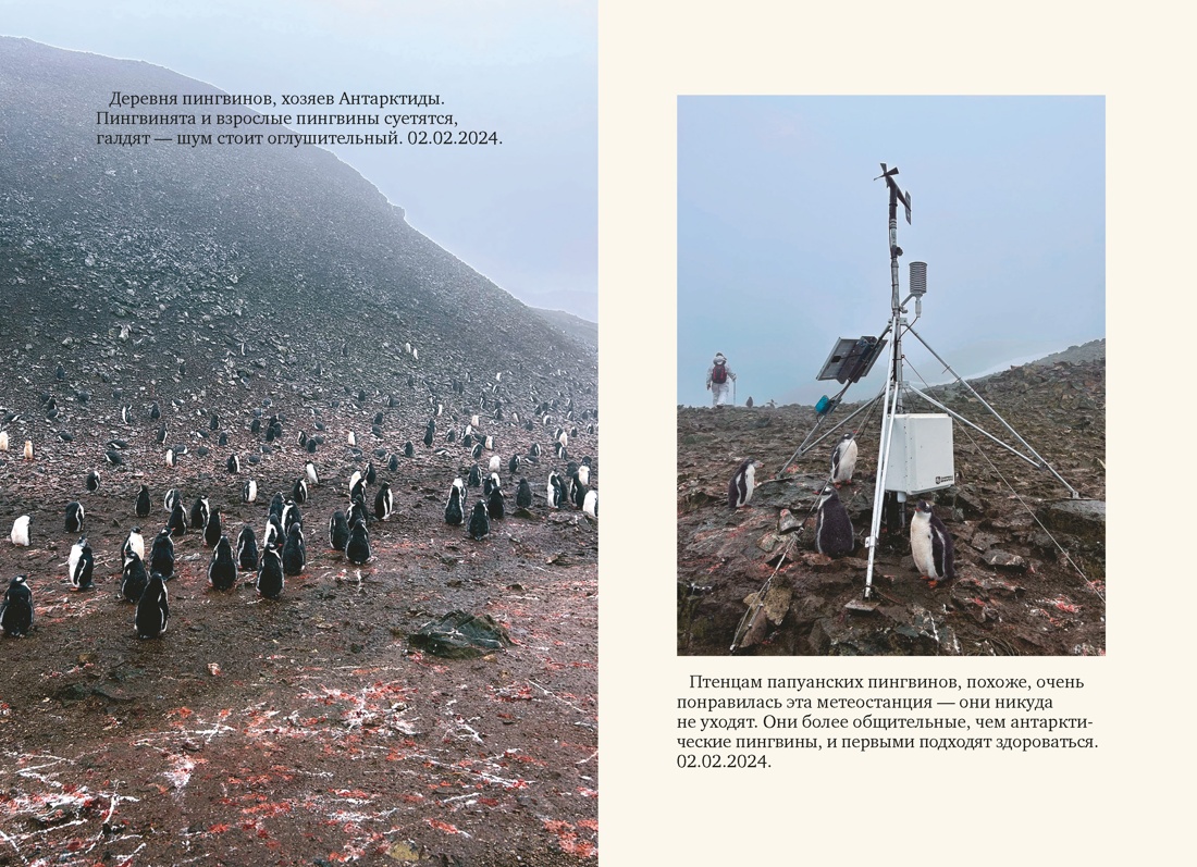 Мой полярный дневник, Отрывок из книги