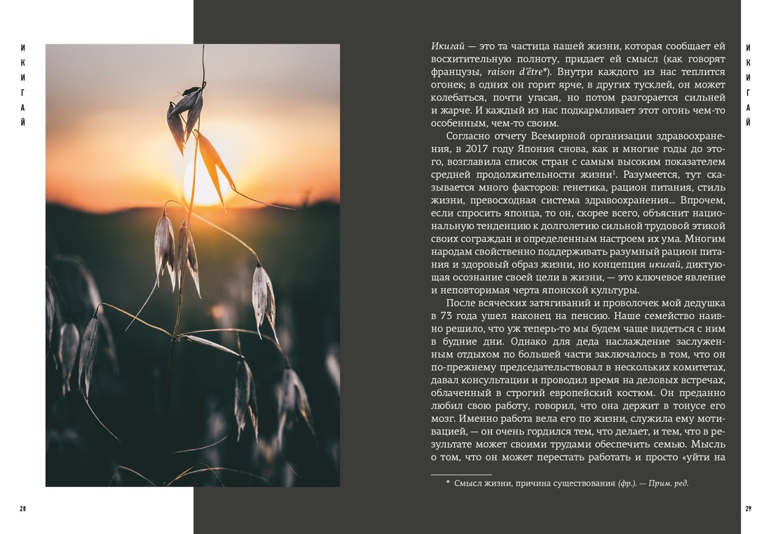 Японизм: философия страны восходящего солнца. Комплект, Отрывок из книги