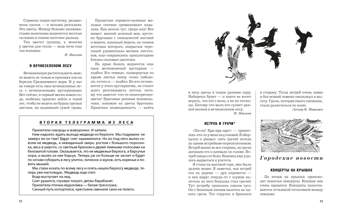 Лесная газета, Отрывок из книги