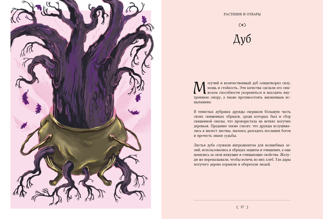 Мифы и легенды кельтов, Отрывок из книги