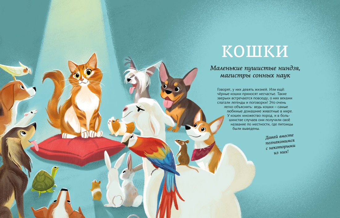 Все-все-все домашние питомцы, Отрывок из книги