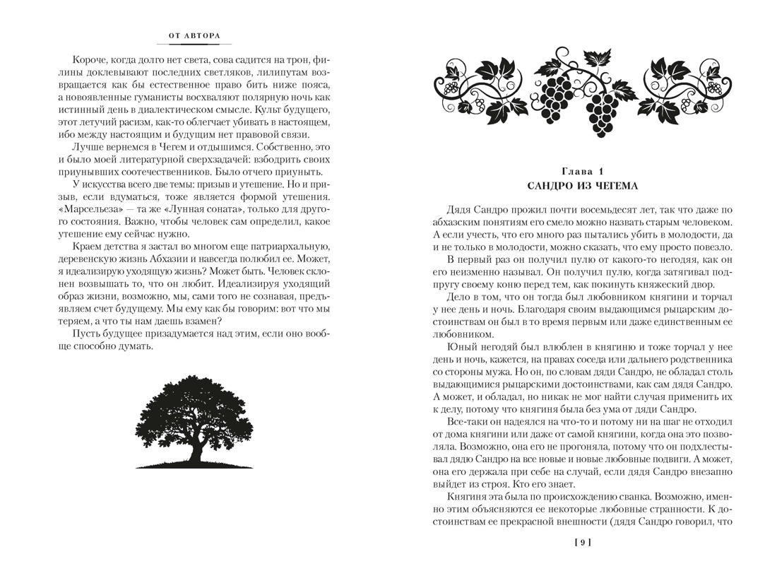 Сандро из Чегема в 2 томах (комплект), Отрывок из книги