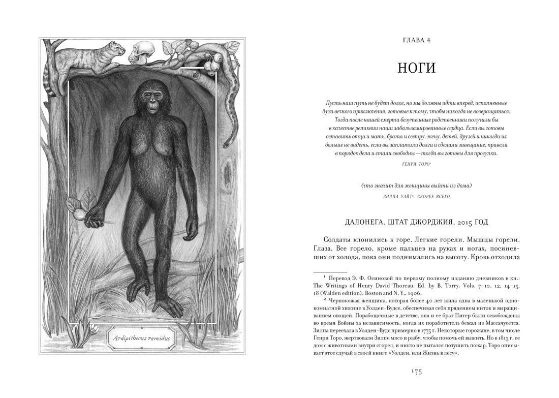 ЕВА. История эволюции женского тела. История человечества, Отрывок из книги