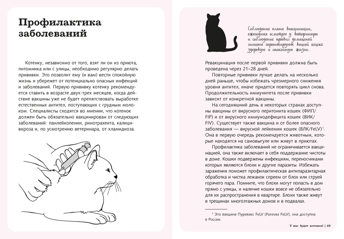 Гладить! Кормить! Любить! Замурчательное пособие по счастливой жизни с кошкой, Отрывок из книги