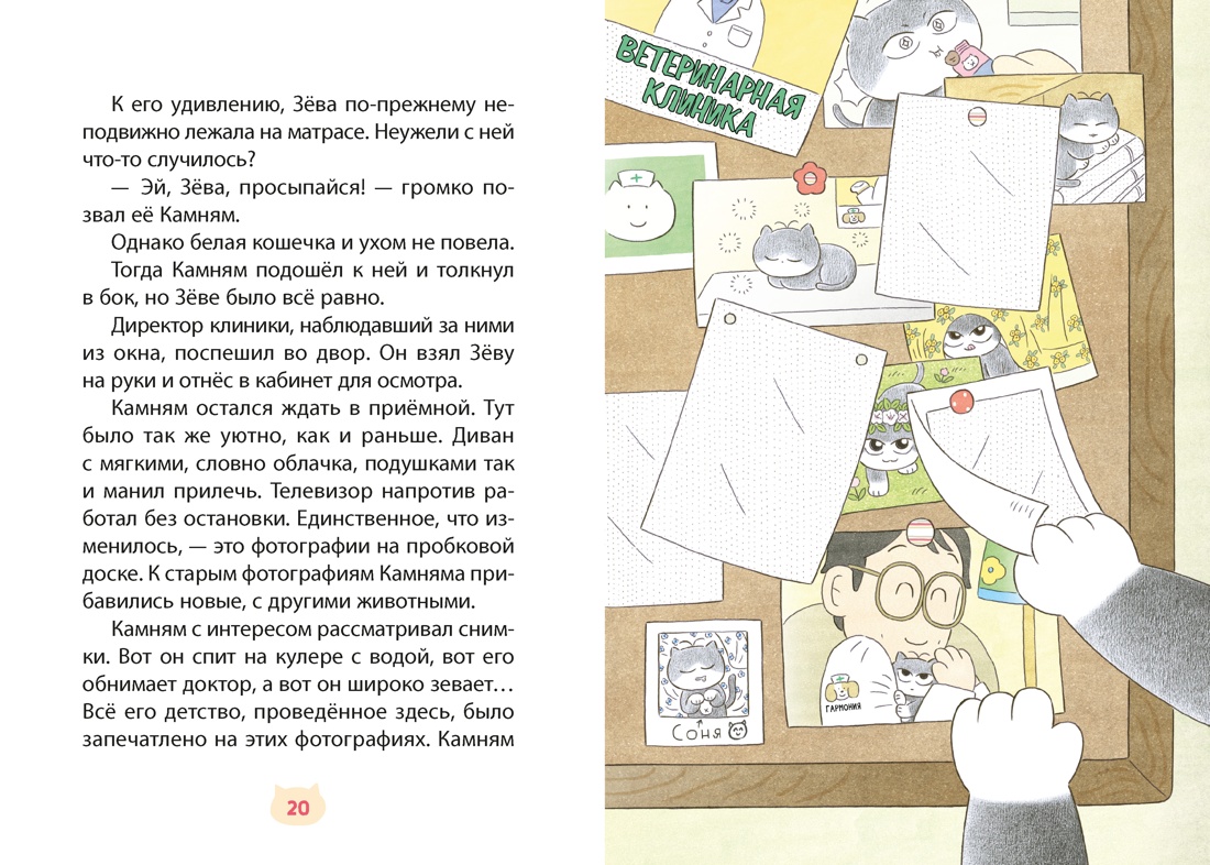 Доктор Камням, Отрывок из книги