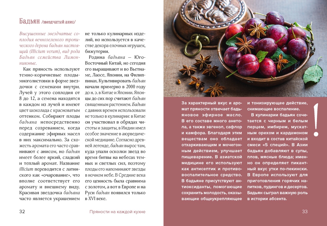 Праздник как по нотам. Специи и пряности., Отрывок из книги