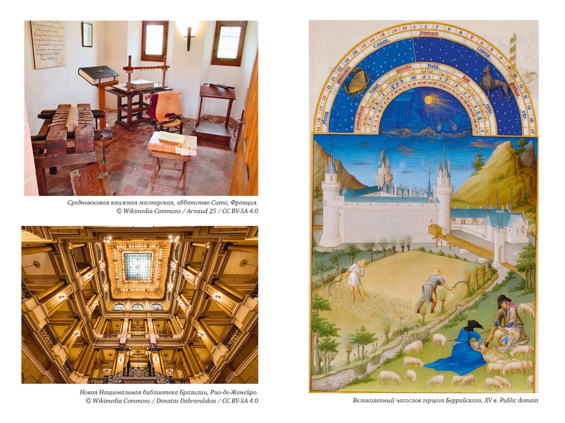 История библиотек: Коллекционеры. Тексты. Здания, Отрывок из книги