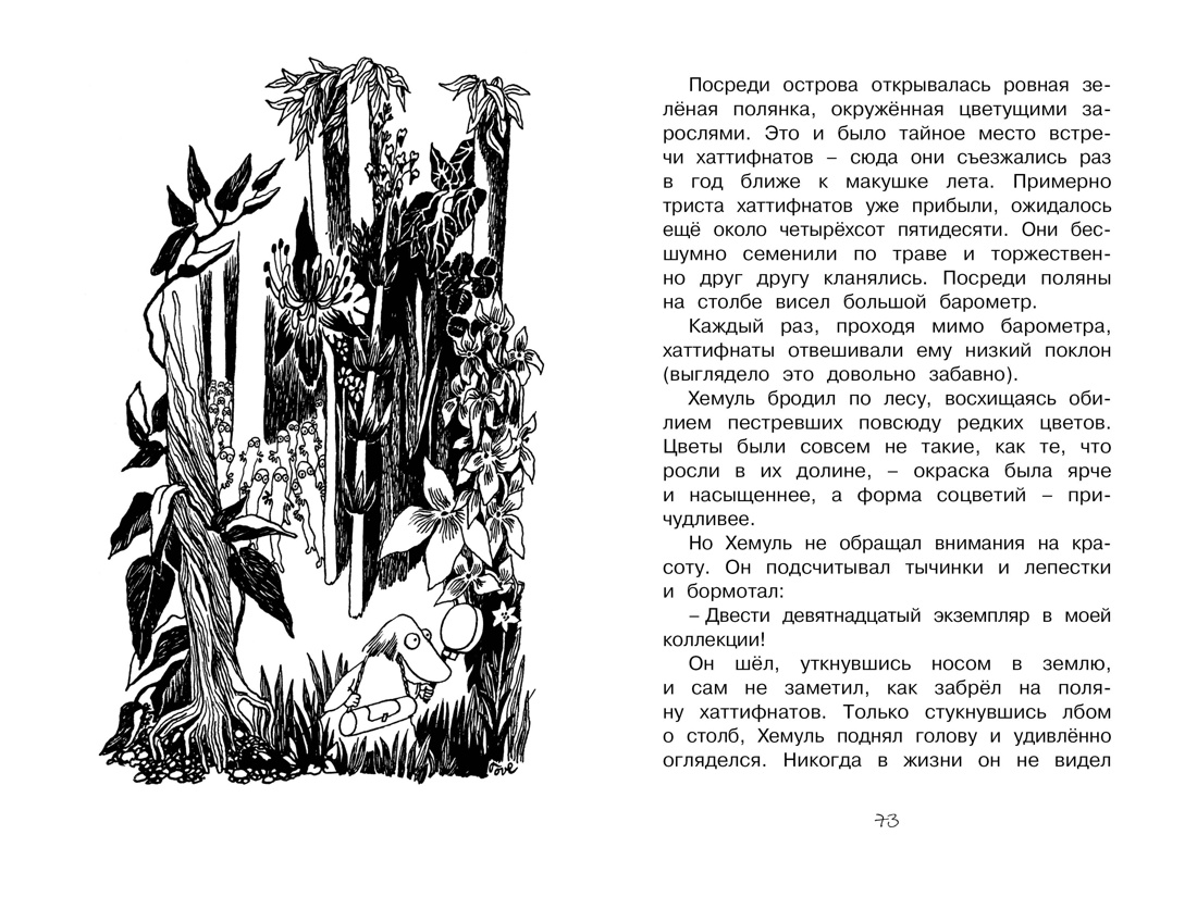 Шляпа Волшебника , Отрывок из книги