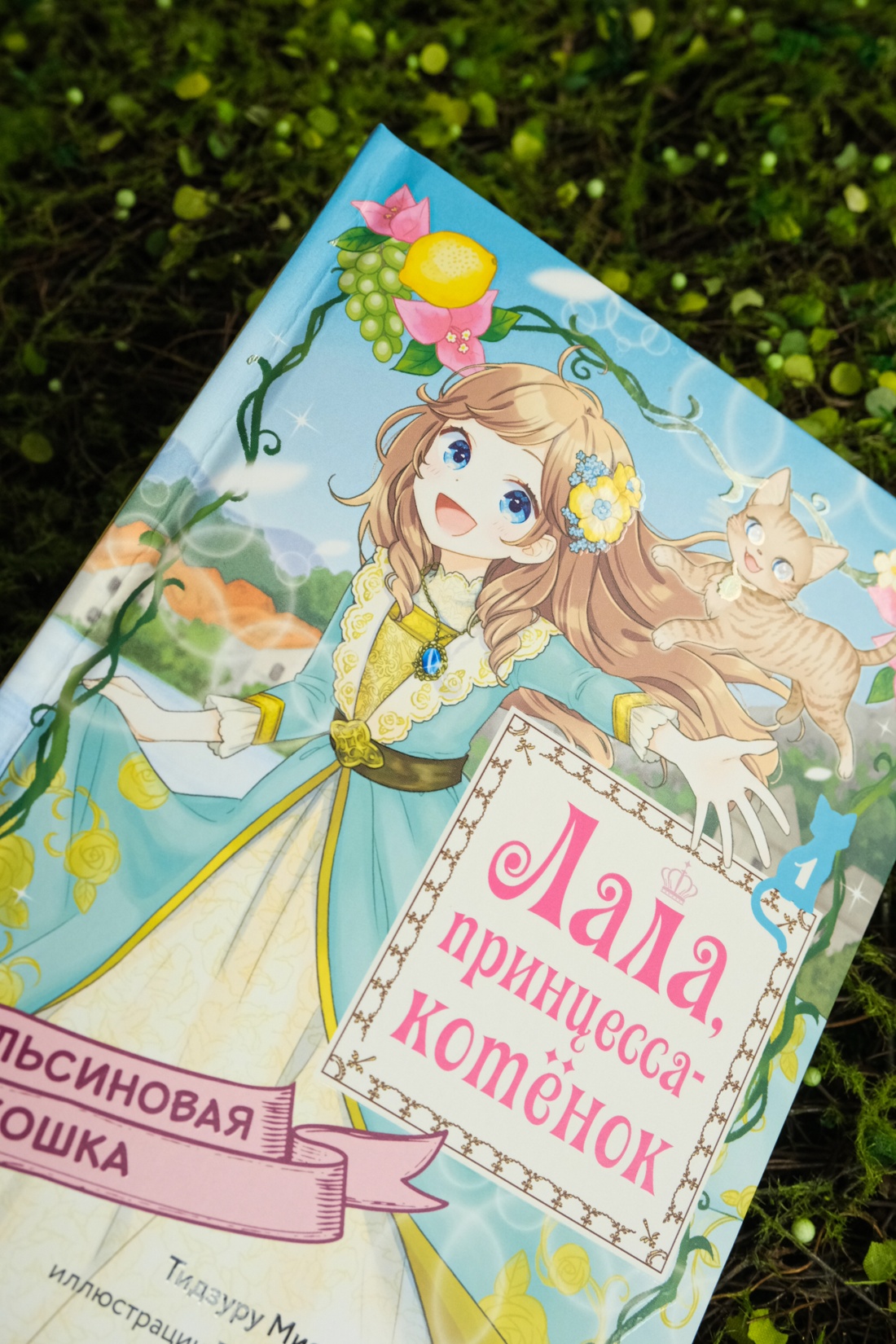 Апельсиновая кошка, Отрывок из книги