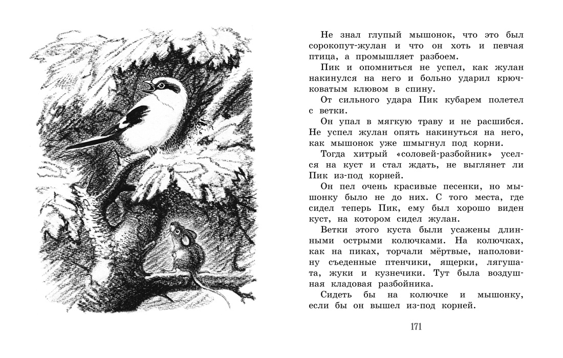 Лесные сказки и рассказы (иллюстр. Е. Рачёва), Отрывок из книги