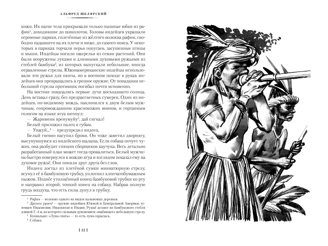 «Томек у истоков Амазонки» и другие удивительные приключения, Отрывок из книги