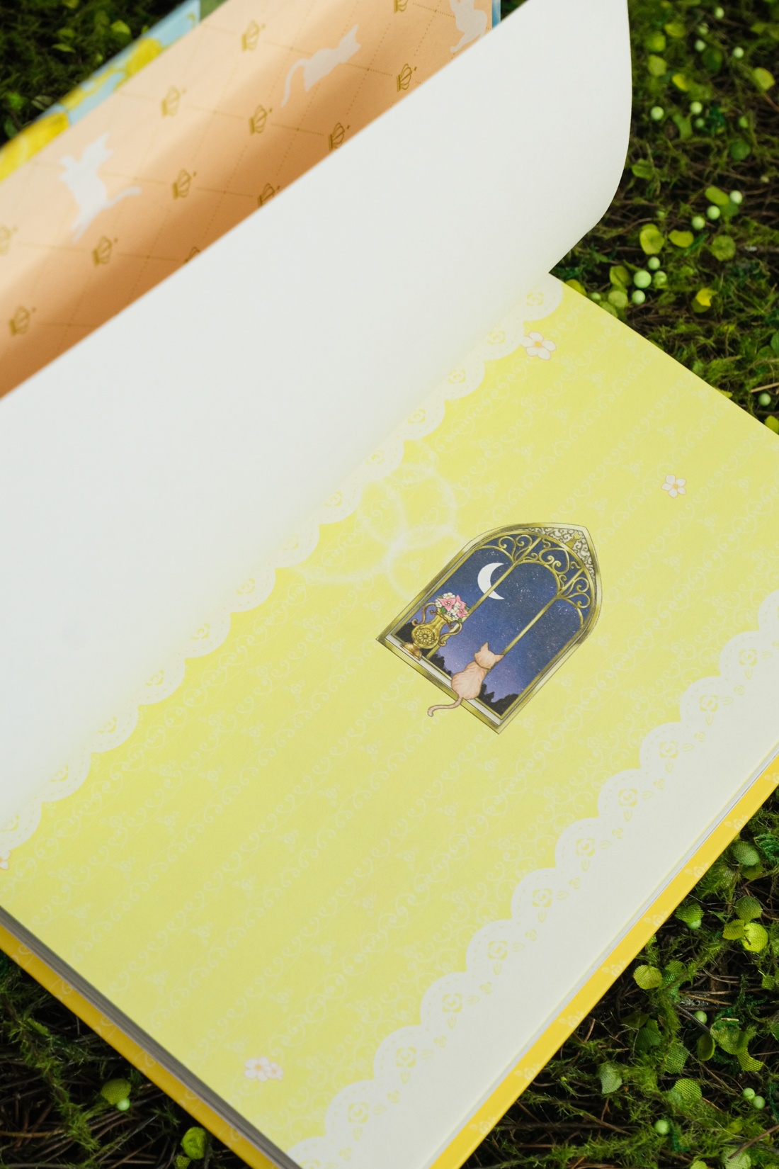 Апельсиновая кошка, Отрывок из книги