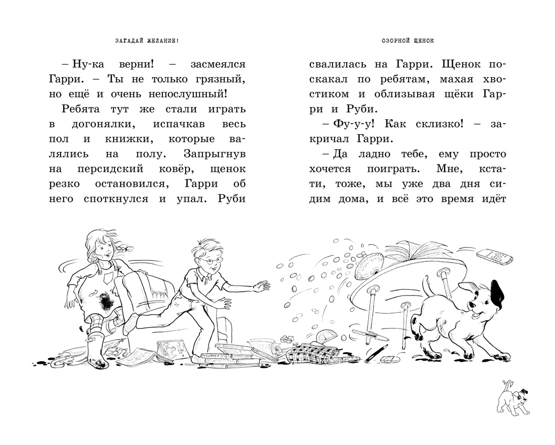 Загадай желание!, Отрывок из книги