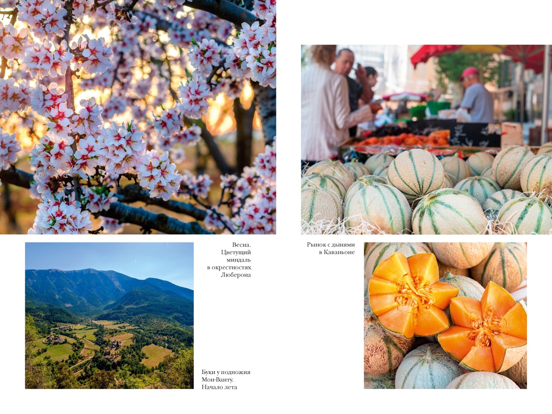 «Год в Провансе» и другие книги, Отрывок из книги