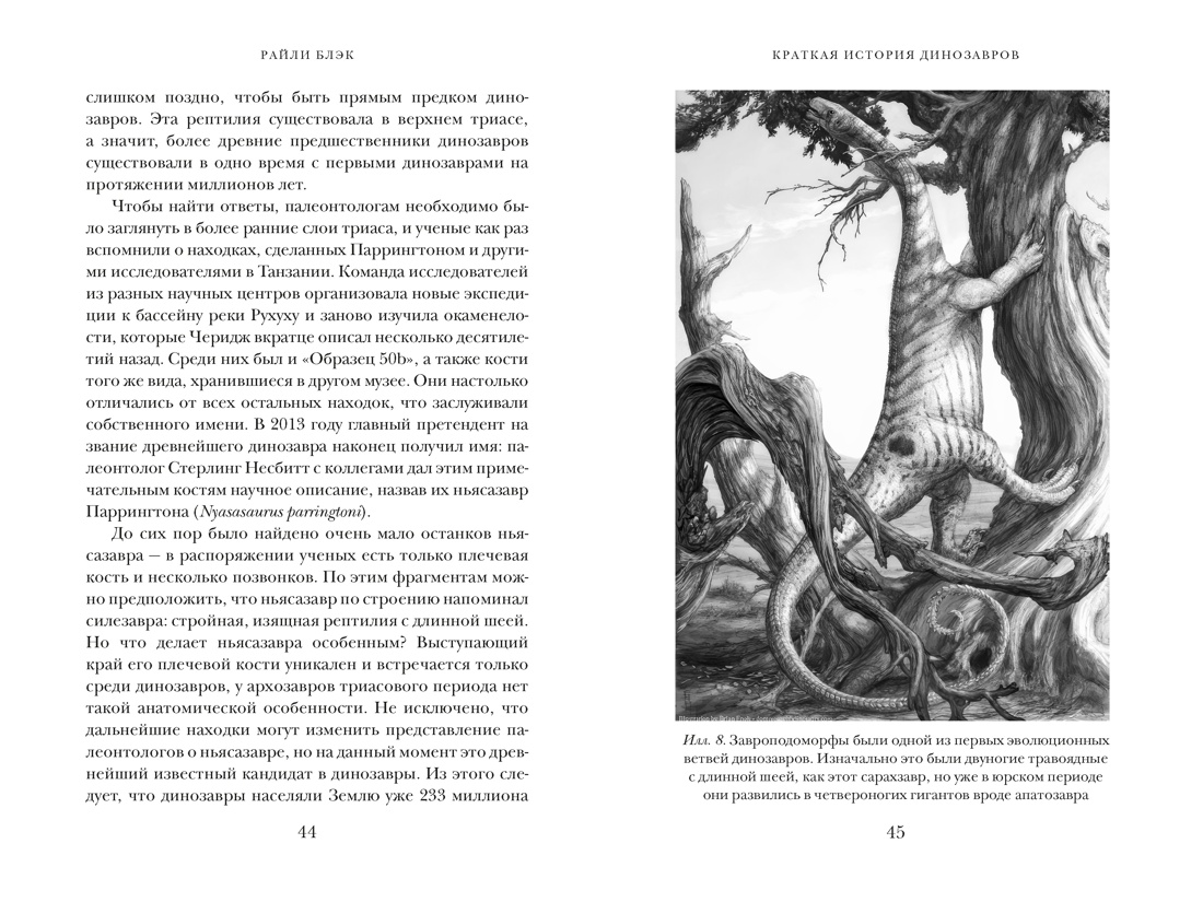 Перья, кровь и миллионы лет: Полная история динозавров, Отрывок из книги