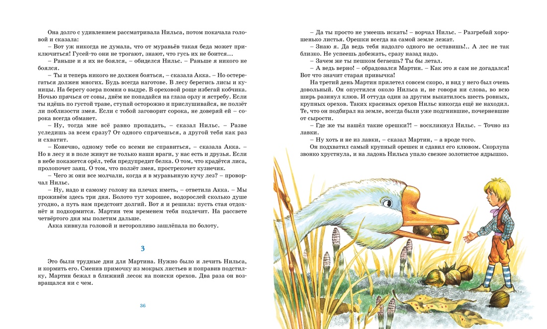 Чудесное путешествие Нильса с дикими гусями, Отрывок из книги