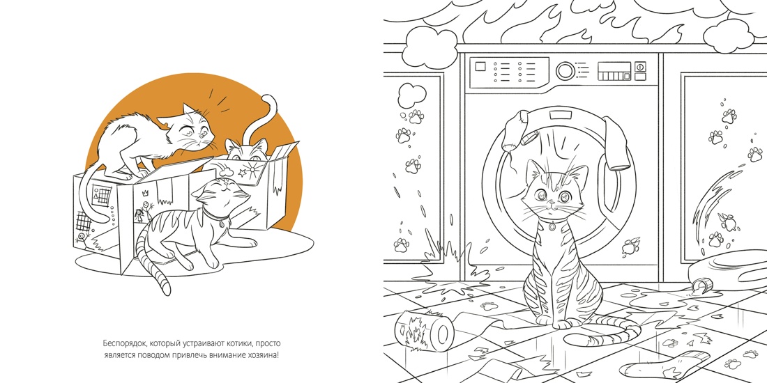 Кошки, Отрывок из книги
