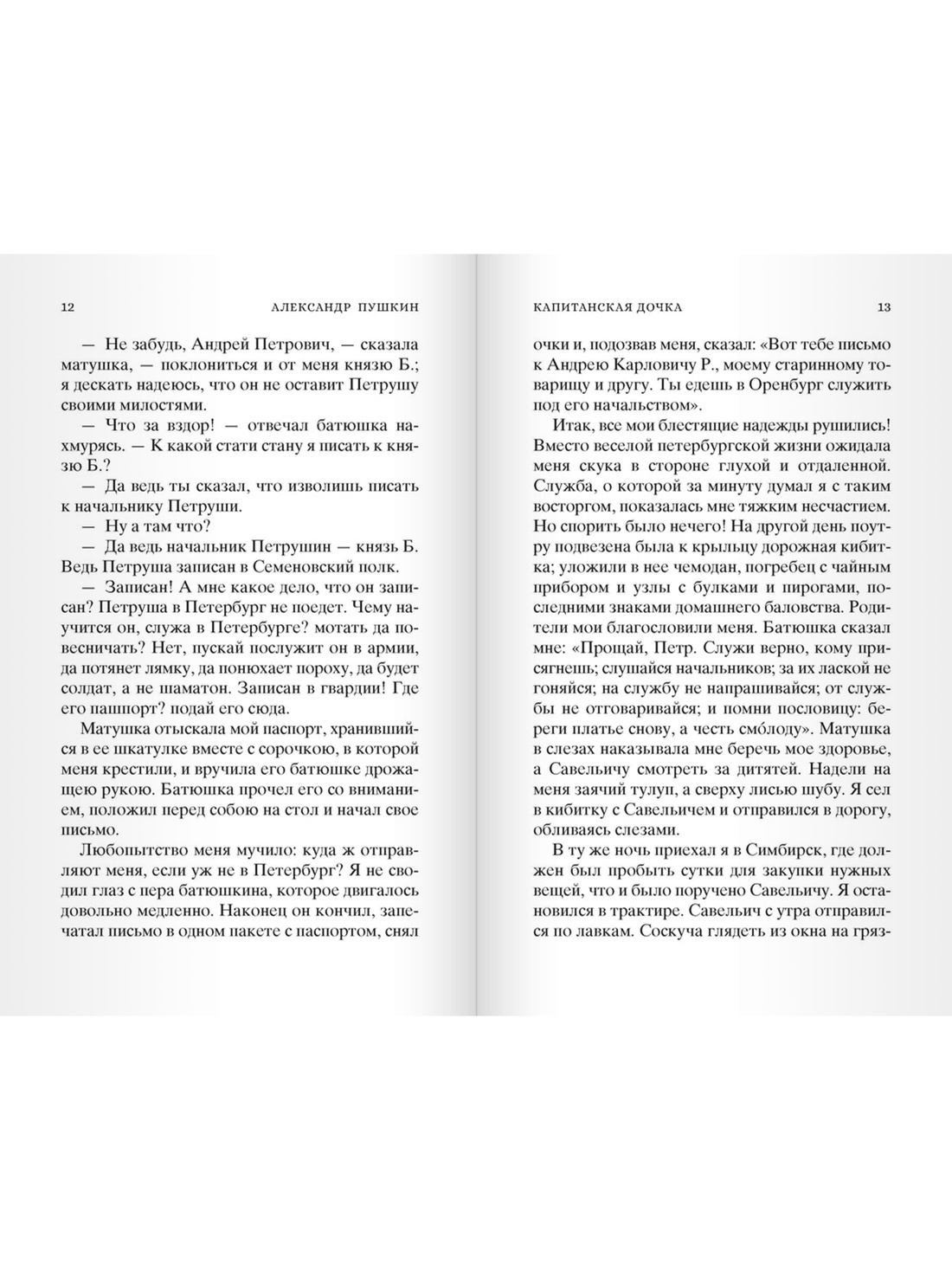 Кастомбук. Капитанская дочка (со стикерами), Отрывок из книги