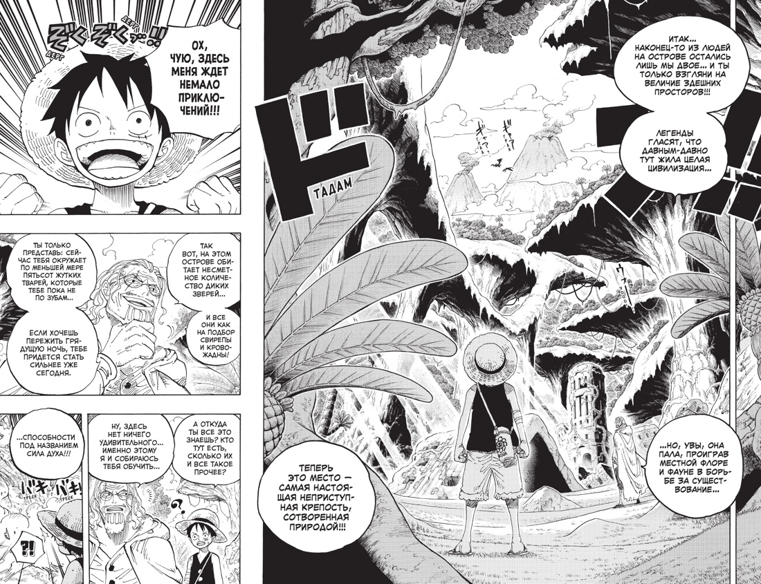 One Piece. Большой куш. Книга 21. На заре приключений : Новый Свет, Отрывок из книги