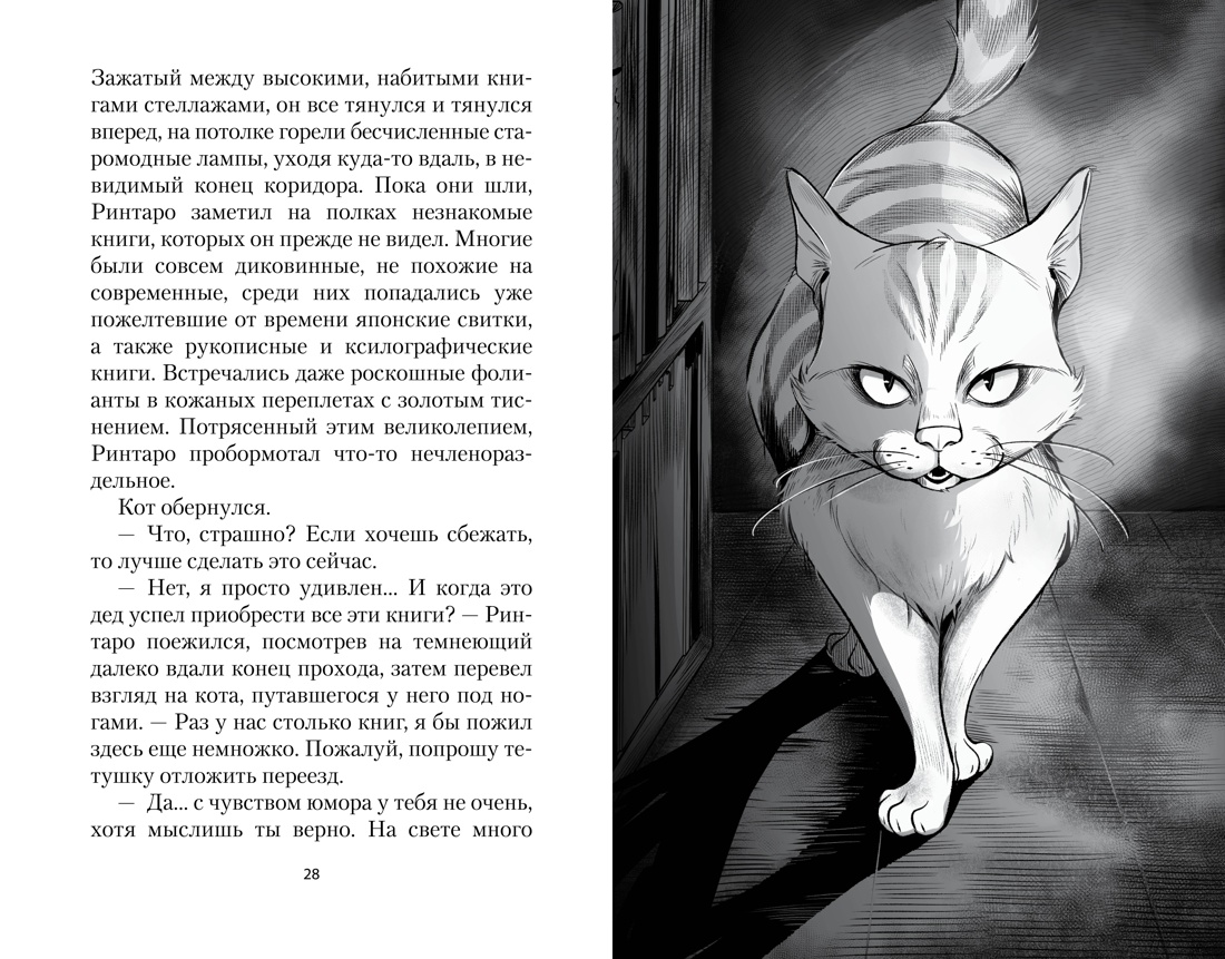 Кот, который любил книги, Отрывок из книги