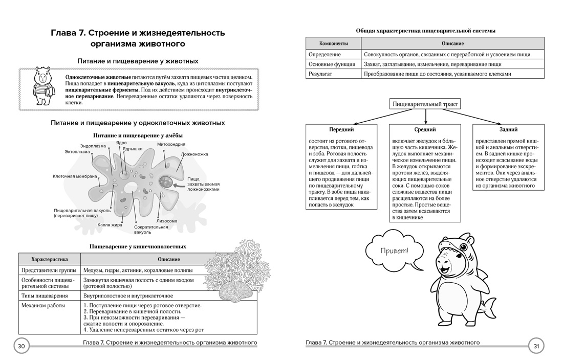 Биология в таблицах и комиксах, Отрывок из книги