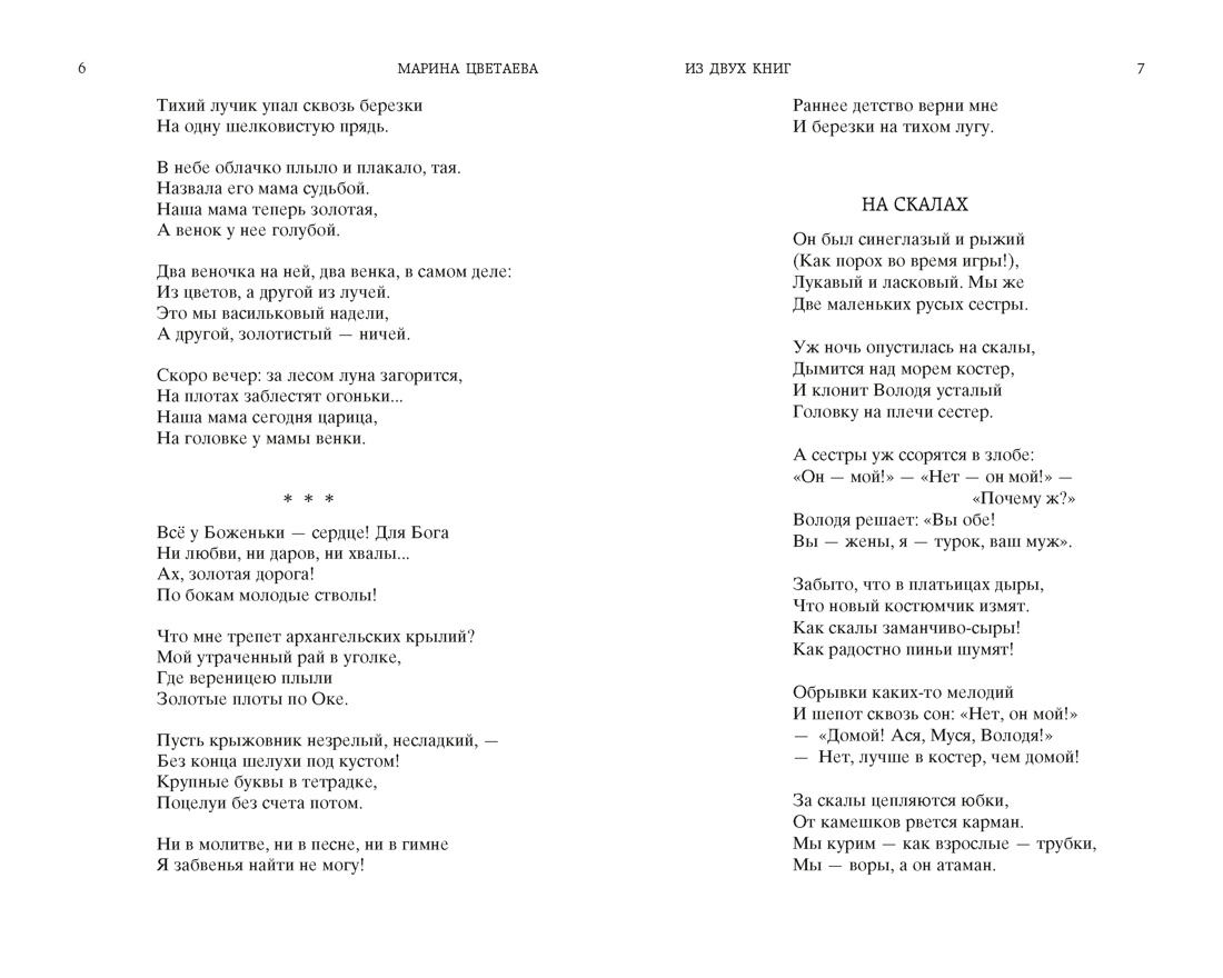 Стихотворения и поэмы, Отрывок из книги