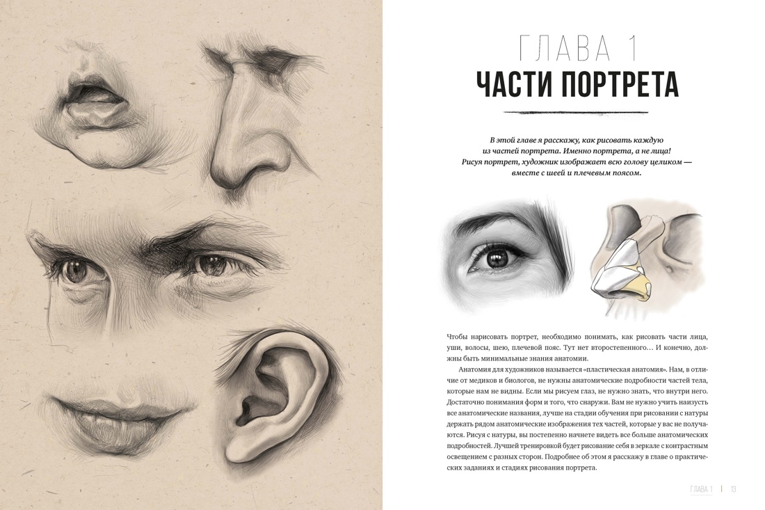Рисунок карандашом от А до Я. Портрет карандашом (испр. изд.), Отрывок из книги